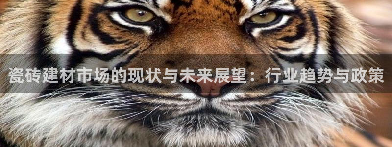 杏鑫平台招商怎么样可靠吗