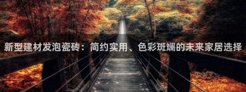 杏鑫娱乐负责人