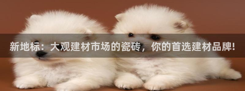 杏鑫平台正规吗是真的吗