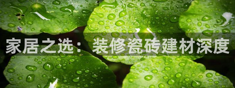 杏鑫平台怎么样黑钱吗是真的吗知乎
