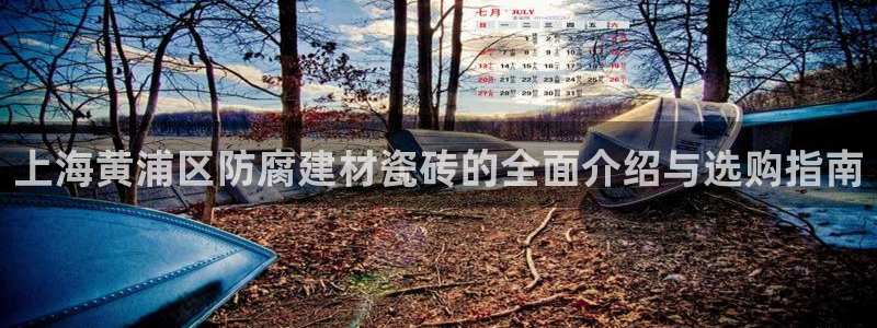 杏鑫平台线路测速