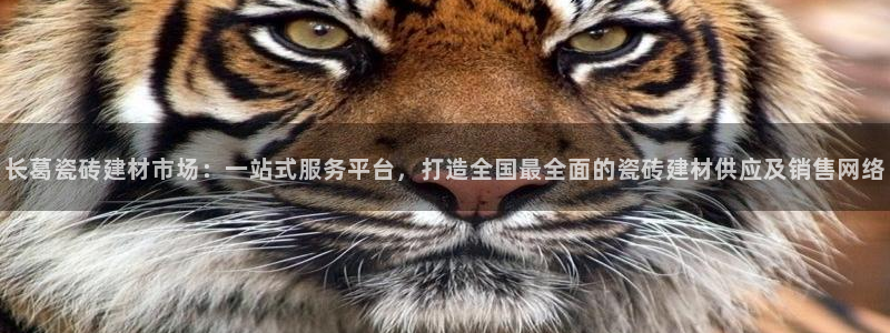 杏鑫娱乐是合法的吗是真的吗