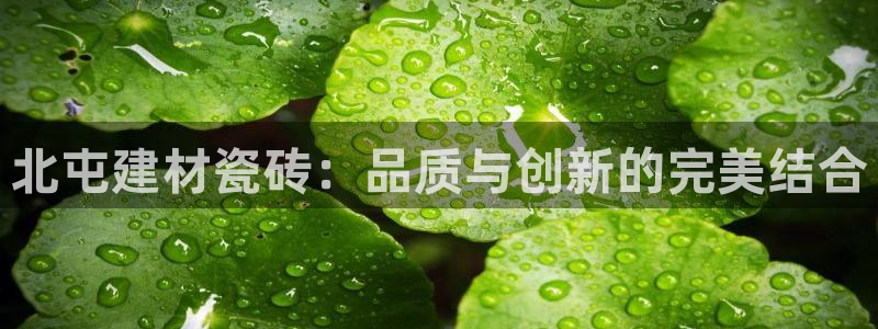 杏鑫娱乐官网首页