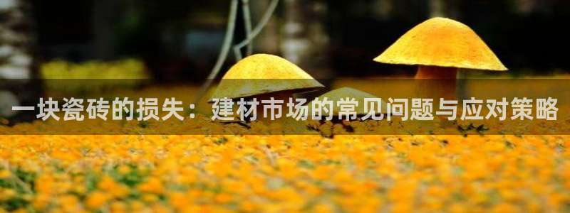 杏鑫平台野马联盟