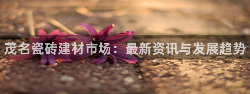 杏鑫娱乐官方网站客户端下载