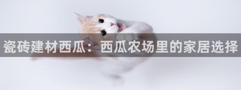 杏鑫手机客户端