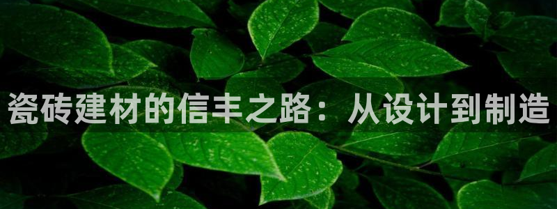 杏鑫娱乐负责人