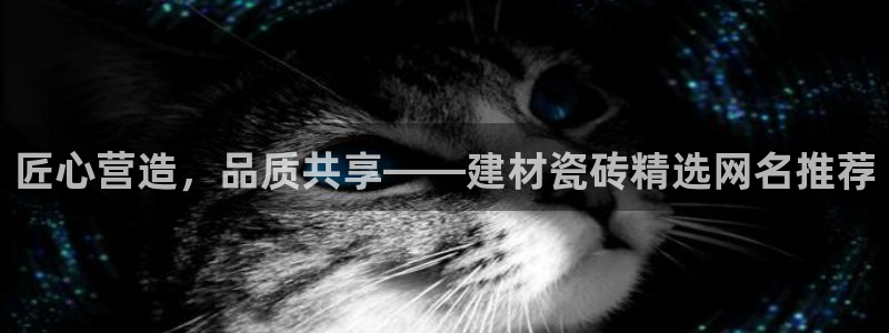 杏鑫平台注册网址查询