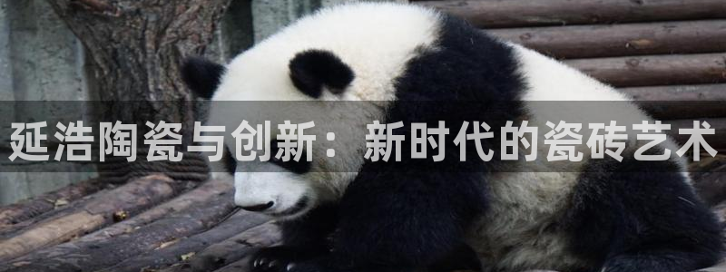 杏鑫平台广7O777