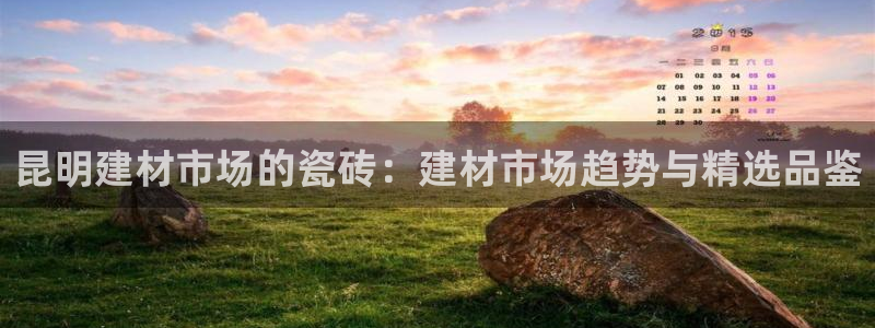 杏鑫招商总代