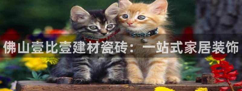 杏鑫平台登录地址查询