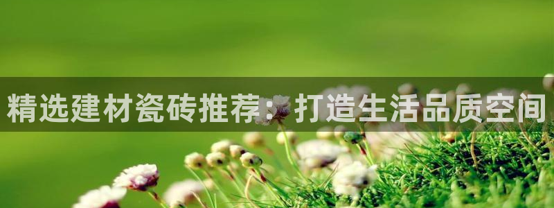 杏鑫主管