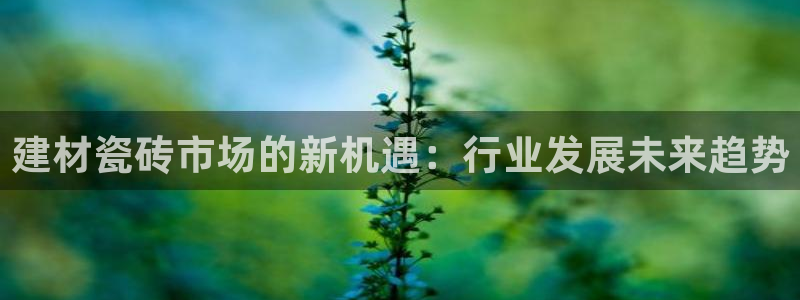 杏鑫平台怎么样黑钱吗知乎推荐