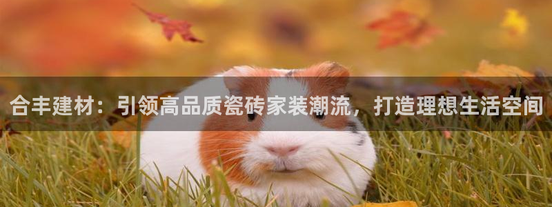 杏鑫平台招商怎么样