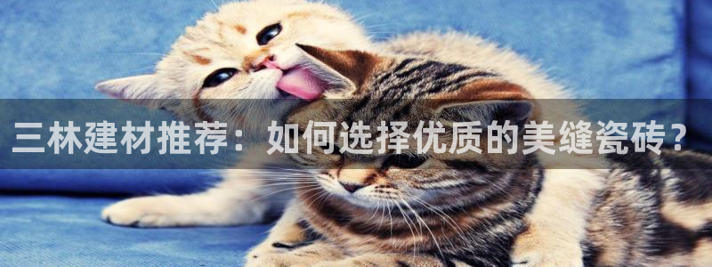 杏鑫平台是黑平台吗知乎