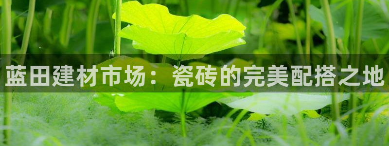 杏鑫娱乐负责人