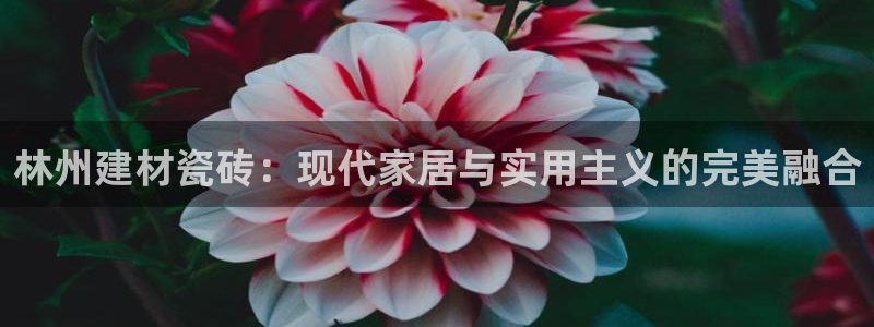 杏鑫平台代理注册流程视频