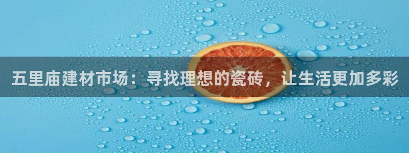 杏鑫注册登录代理