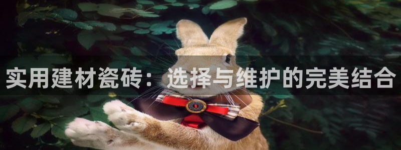 杏鑫官方平台怎么样啊知乎