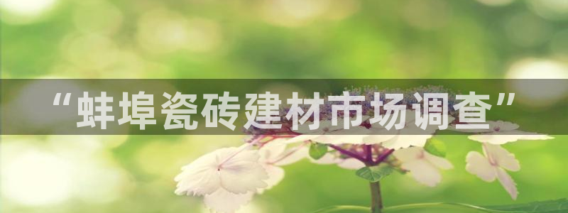 杏鑫娱乐开发团队