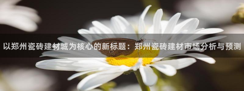 杏鑫平台怎么样