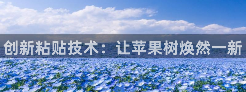 杏鑫代理注册登录