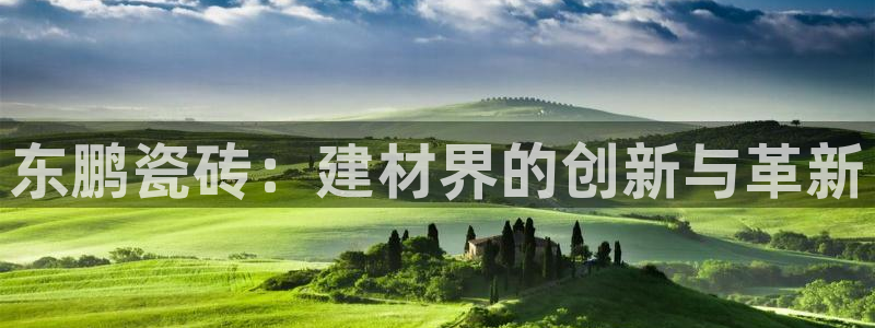 杏鑫官网注册账号是什么