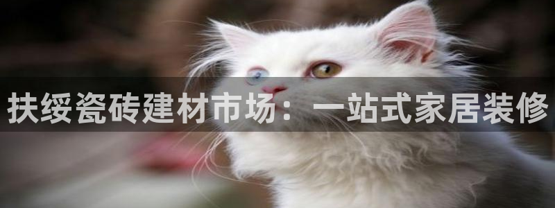 杏鑫平台登录地址查询