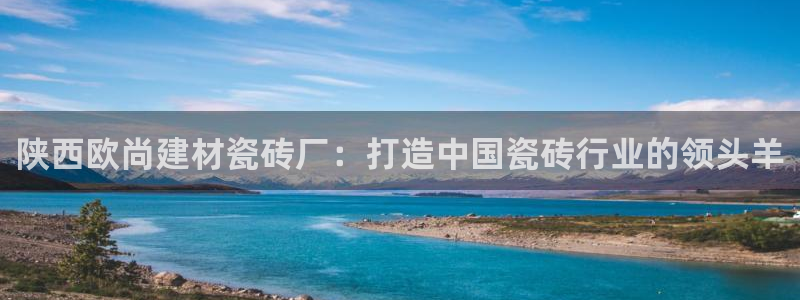 杏鑫官方app代理