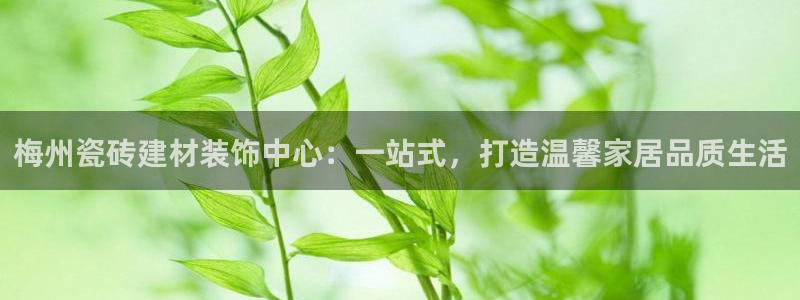 杏鑫官方平台怎么样啊