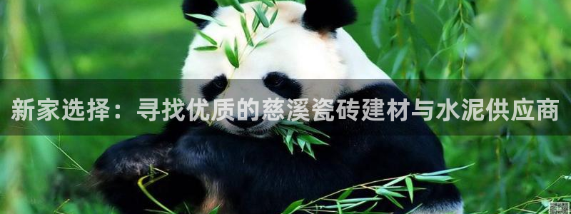 杏鑫平台登录地址在哪