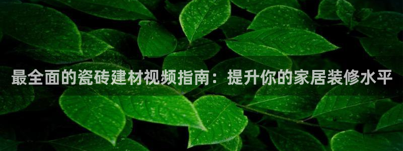 杏鑫娱乐平台测速