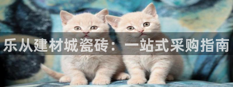 杏鑫平台注册入口在哪里找