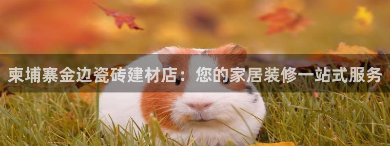 杏鑫代理注册平台