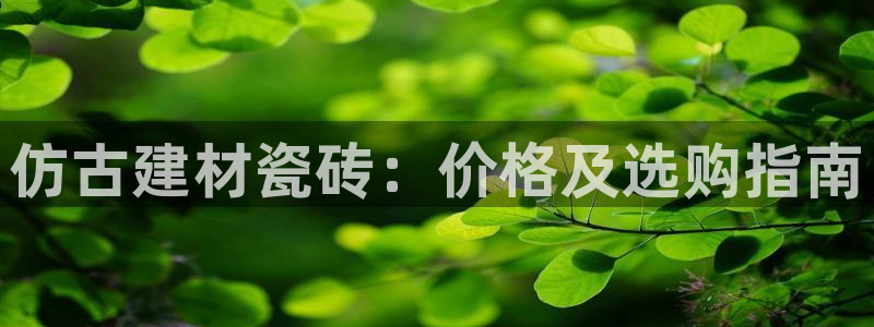 杏鑫官网注册账号是什么