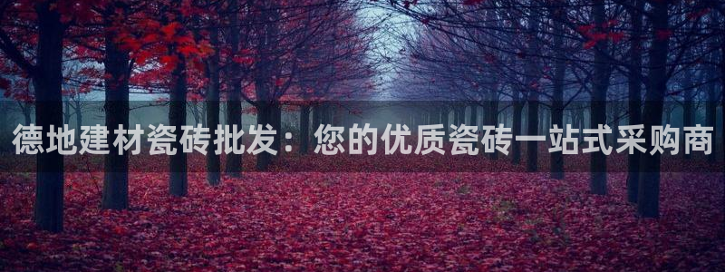 杏鑫注册登录平台是什么