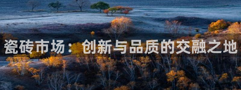 杏鑫平台代理注册流程图