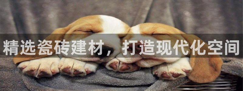 杏鑫娱乐平台登录