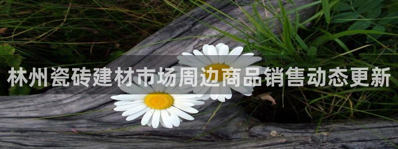 杏鑫注册平台官方网站