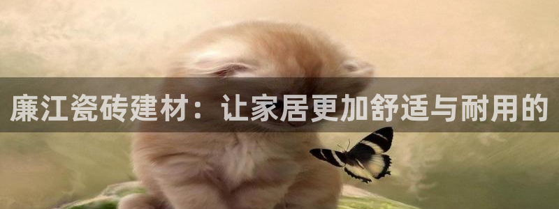 杏鑫注册平台官方网站是什么