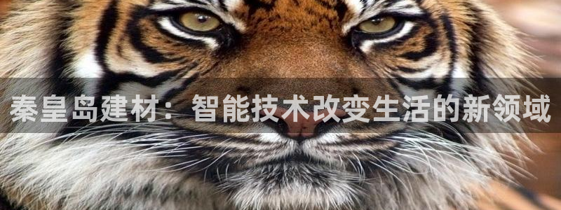 杏鑫平台代理注册多少钱