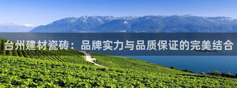 杏鑫娱乐平台登录