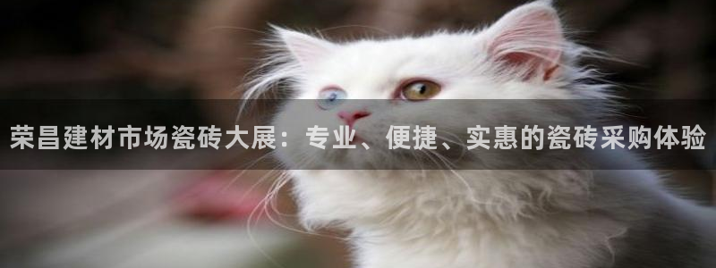 杏鑫官网注册账号是什么