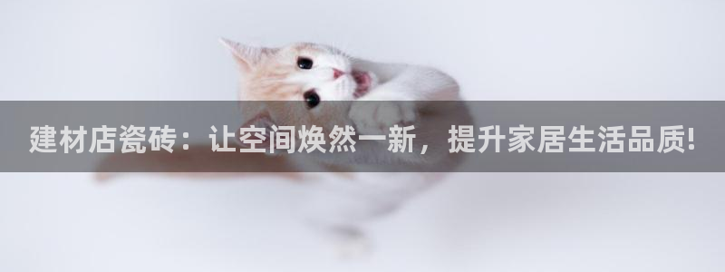 杏鑫平台代理注册多少钱一个