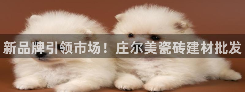 杏鑫官网注册账号是什么样的