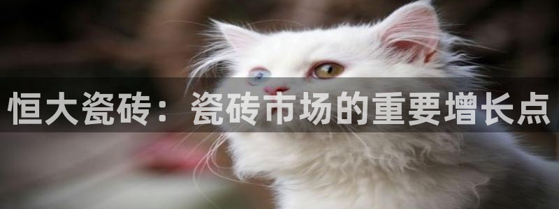 杏鑫平台代理注册多少钱一个