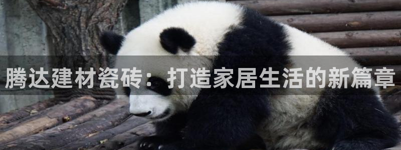 杏鑫注册登录网址是什么