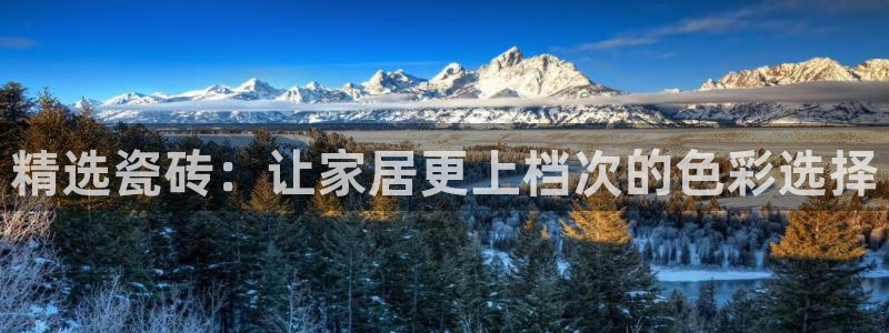 杏鑫平台注册网址是什么