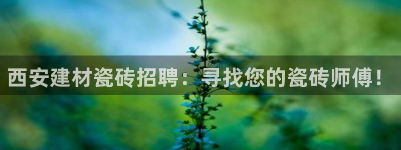 杏鑫官方平台怎么样啊可靠吗