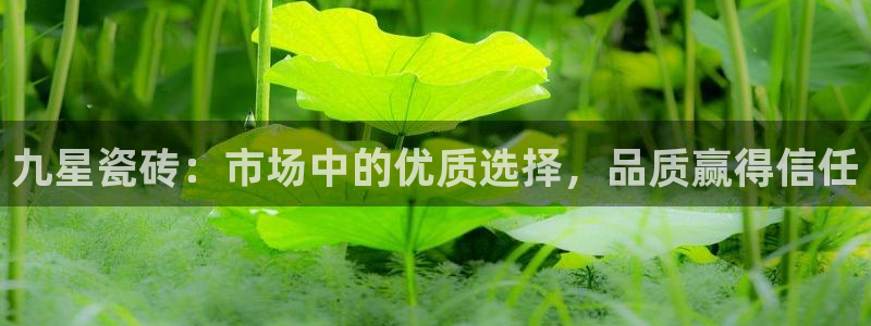 杏鑫官网注册账号密码是什么